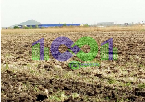 Пловдив, гр. Пловдив, Продава 